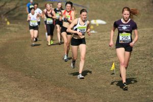 ÖM Cross 2014 - Feistritz im Rosental